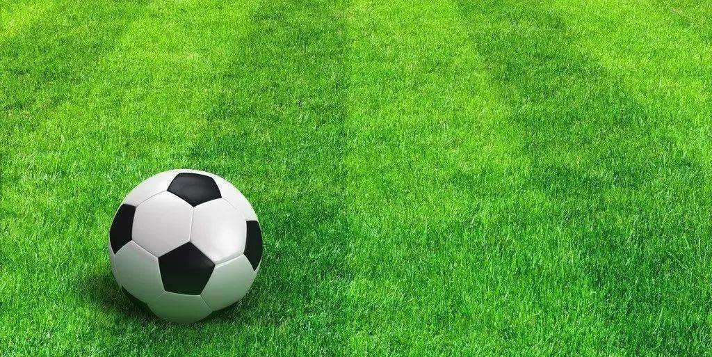 足球竞彩比分竞彩网应用下载